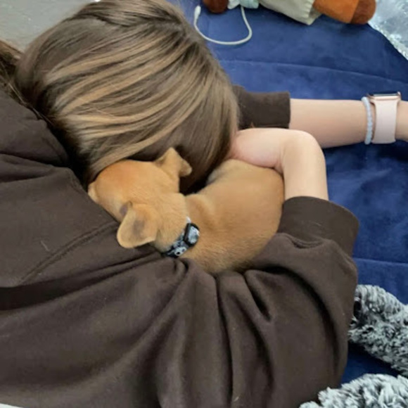 Meet your Posher, J - Picture 1 of 1